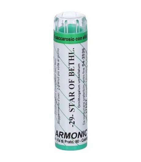 Armonic 29 Star Of Bethlem 70 gr