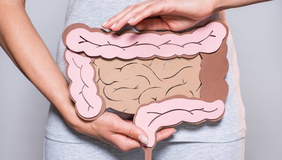 L'intestino è il nostro secondo cervello. Leggi come averne cura