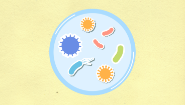 Leucociti nelle urine: cosa significano e quando preoccuparsi