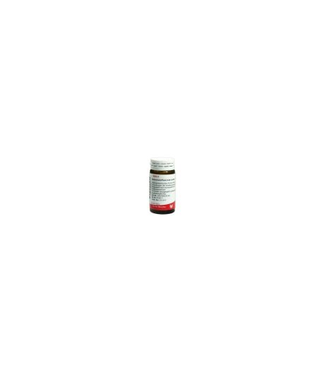 Wala Cichorium Pancreas Medicinale Omeopatico Globuli 20g