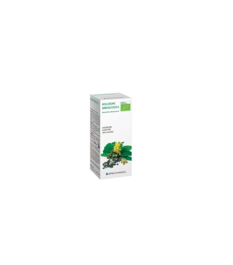 Specchiasol Soluzione Idroalcolica 10 Biancospino 50ml