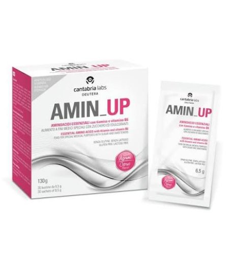 Amin Up 20 Bustine Agrumi 6,3g