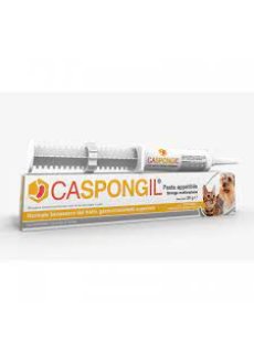 Caspongil Pasta 30 G