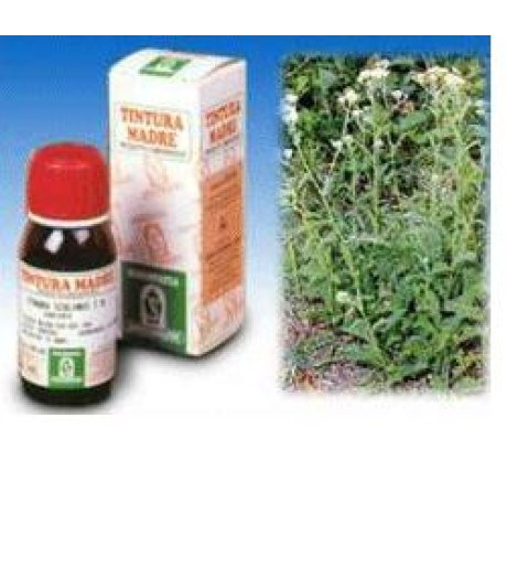 ACHILLEA 51 50ML TM