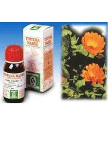 CALENDULA OFF 5 50ML TM SPECCH