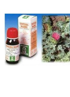 CARDO MARIANO 6 50ML TM SPECCH