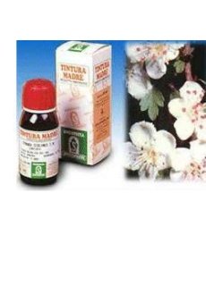 BIANCOSPINO 10 50ML TM SPECCH