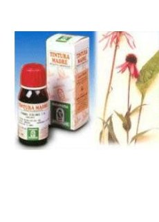ECHINACEA 59 50ML TM SPECCH