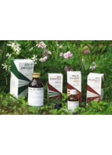 RAEMIL Propoli Olio 25ml