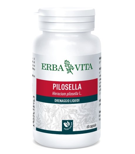 PILOSELLA 60CPS 400MG EBV<