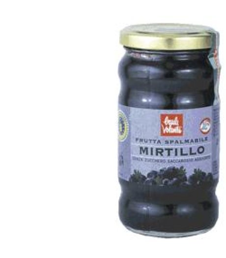 FRUTTA SPALMAB MIRTILLO 280G