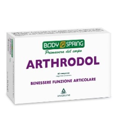 BS ARTHRODOL 60CPR BSP