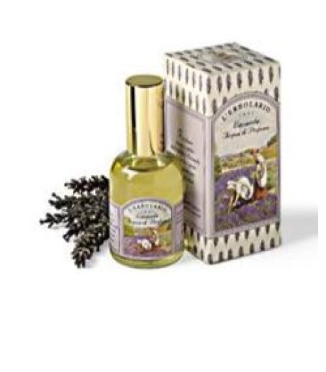 ACQUA PROFUMATA LAVANDA 50ML