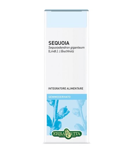GEMMODERIVATO SEQUOIA 50ML EBV