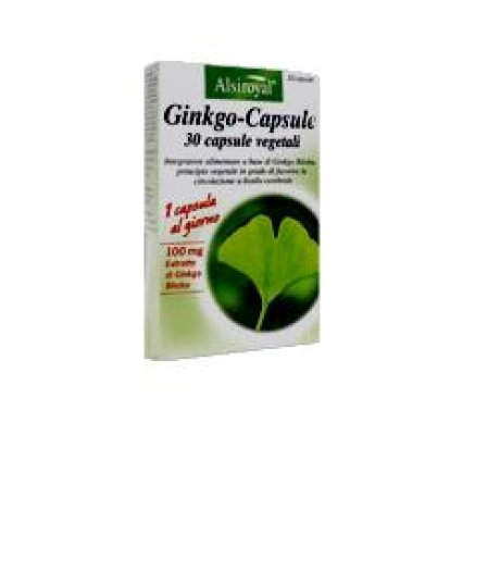 GINKGO CAPSULE 30CPS