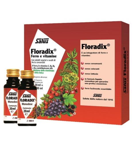 FLORADIX-FERRO 10 FLACONCINI20ML