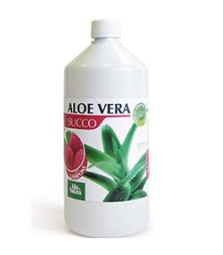 ALOE VERA SUCCO LAMPONE 1LT