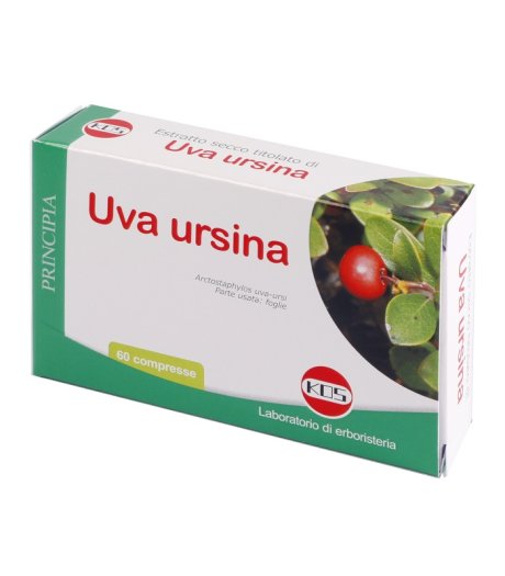 UVA URSINA E.S. 60 CPR 300MG K UVA URSINA E.S. 60 CPR 300MG K