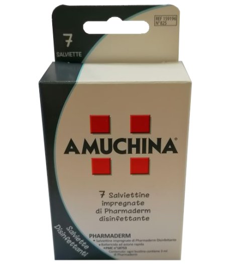 Amuchina Salviette Disinf 7pz