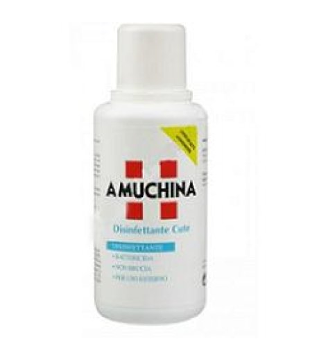 Amuchina Disinfettante 300ml