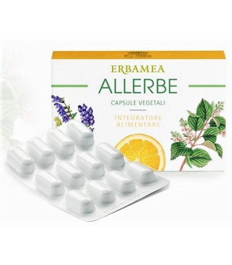 ALLERBE 24CPS ERBAMEA