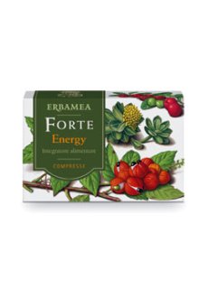 FORTE ENERGY 24CPR