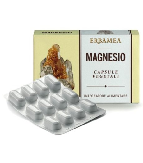 Magnesio 24cps 1200mg
