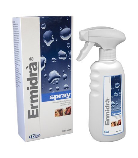 ERMIDRA'SPRAY 300ML