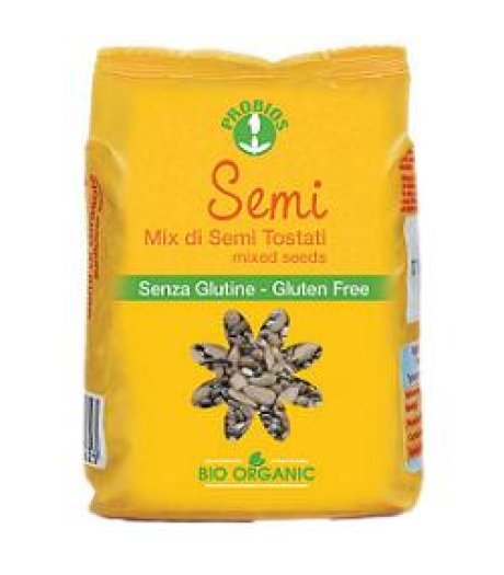 MIX DI SEMI TOSTATI 250G