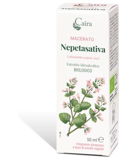 CAIRA NEPETASATIVA Macerato