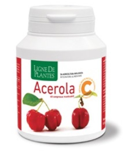 ACEROLA BIO 60CPR MASTICABILI< ACEROLA BIO 60CPR MASTICABILI<