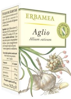 AGLIO 50Opr EBM