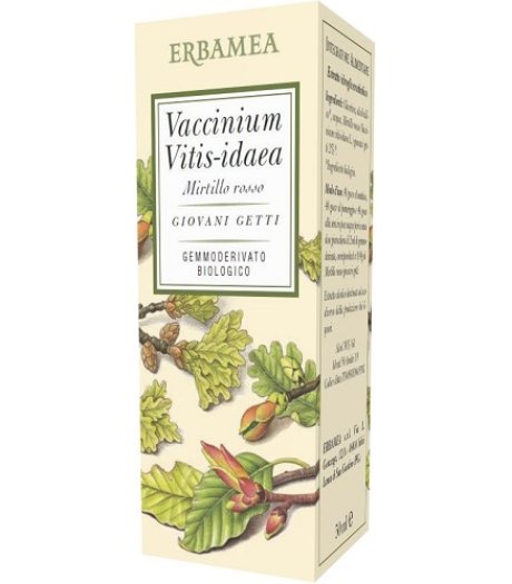 VACCINIUM VITIS IDAEA M R 50ML