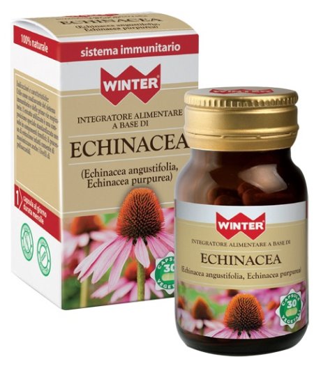 WINTER ECHINACEA 30CPS VEG
