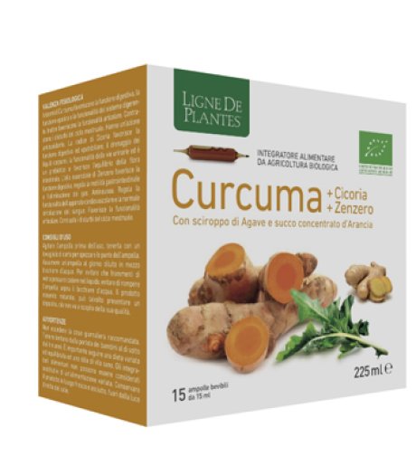 Curcuma Cicoria Zenzero 15 Ampolle