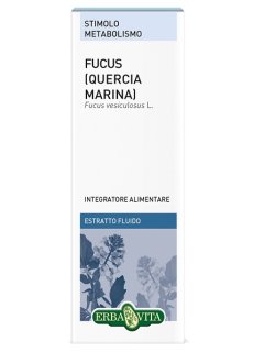 FUCUS QUERCIA MARINA ESTR FL50