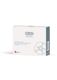 Cebral 14bust Cebral 14bust