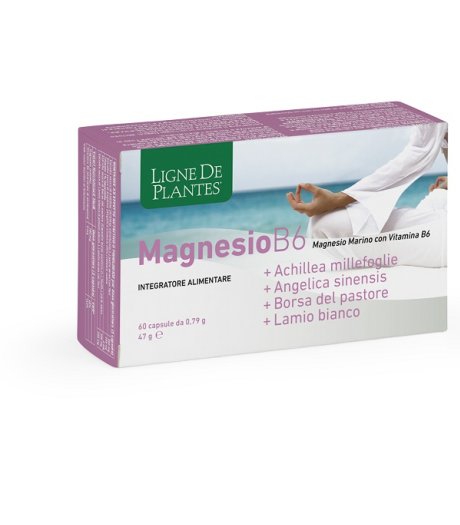 MAGNESIO B6+ACHILLEA+ANGELICA+