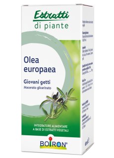 BO.OLEA EUROPEA MG 60ml
