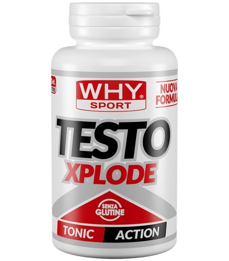 WHYSPORT TESTO XPLODE 90CPR NF