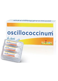 OSCILLOCOCCINUM 200K 6DO GL BO