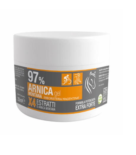 ARNICA 97% GEL 250ML ERB MAGENTI