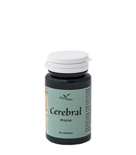 CEREBRAL AYURVED 60CPS