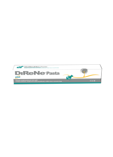 DIRENE PASTA 15ML DIRENE PASTA 15ML