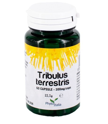 TRIBULUS TERRESTRIS 30CPS