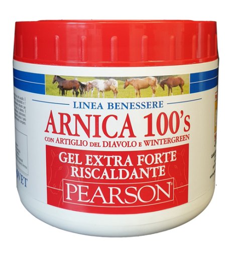 ARNICA 100'S GEL EX FT RISC500
