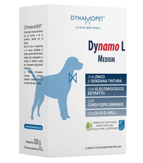 DYNAMO L MEDIUM 20BUST 10G