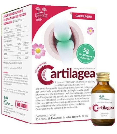 Salugea Cartilagea Integratore Naturale Per Il Benessere Delle Articolazioni 18 Flaconcini