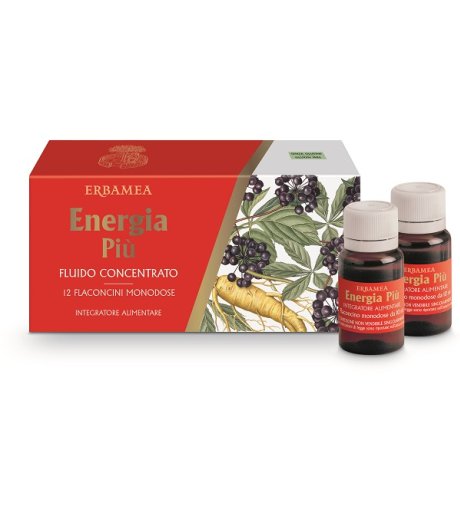 ENERGIA PIU'12fl.10ml EBM