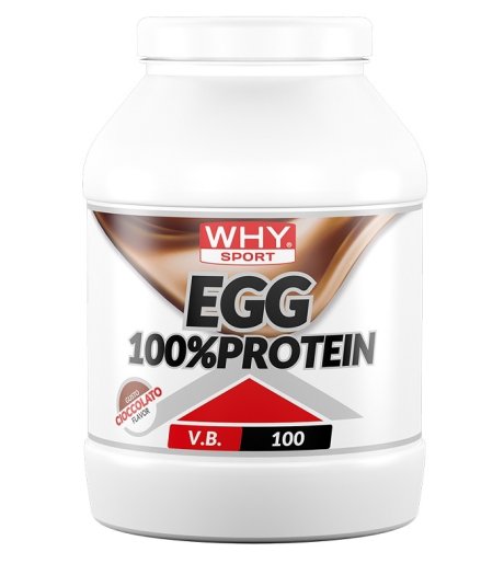 WHYSPORT EGG 100% PROTEIN CIOC